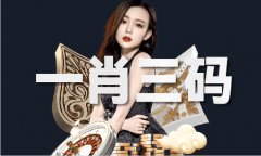 曾道材料免费大全